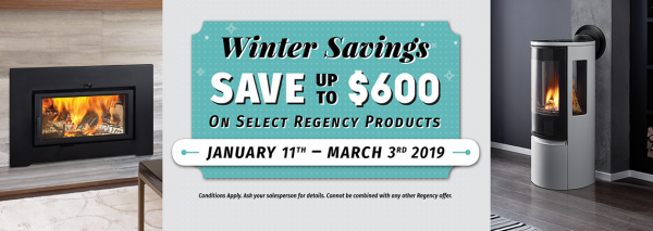 regency winter savings banner